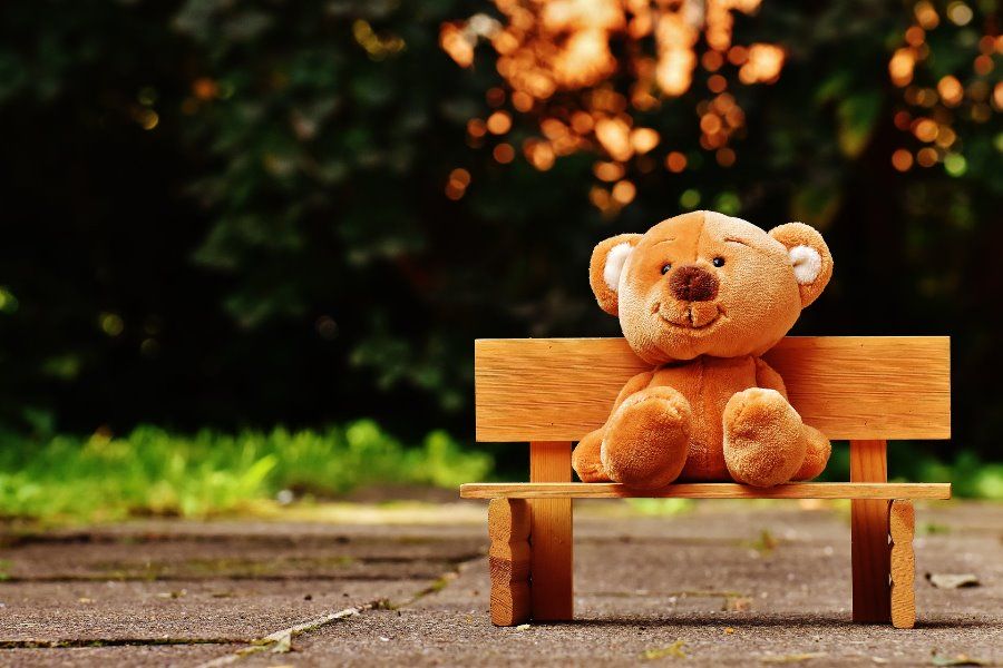 teddybear bench park