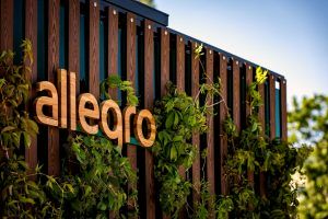 Allegro to implement visual search ?